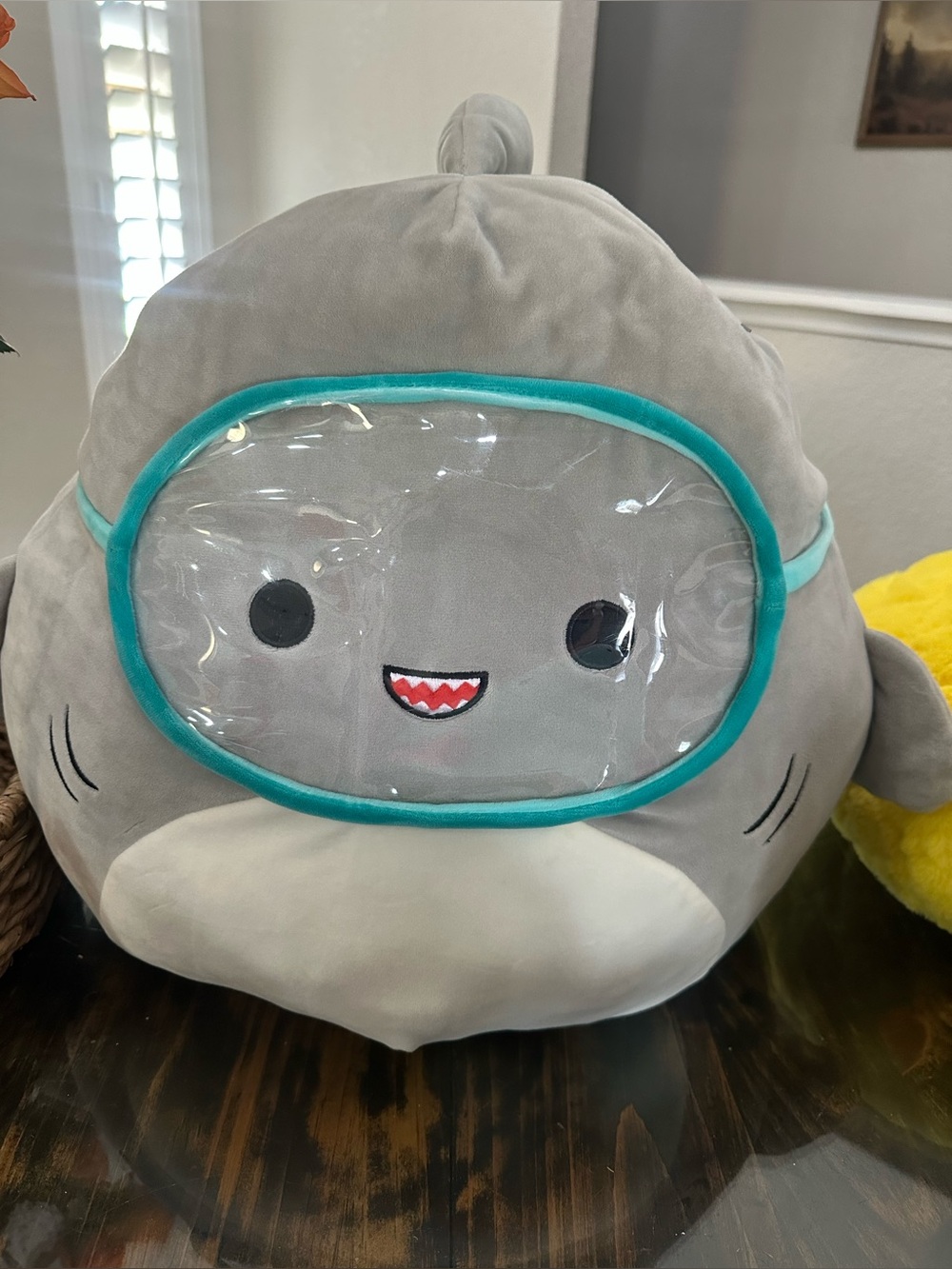 Gordon the Shark Squishmallow